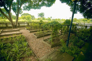 chính chủ cần bán lô đất biệt thự mặt hồ tại dự án khu du lịch sinh thái hồ vân trì, đông anh.