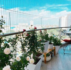 Bán Căn Hộ Chung Cư 3 Phòng Ngủ Gateway Vũng Tàu Giá 6tỷ3. Lh 