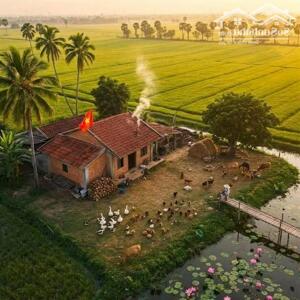 Bán Đất Tặng Nhà TT Sóc Sơn, Tân Hưng, ~500m2 - Nhỉnh 4 Tỷ, Sổ Lâu Dài, Ô Tô.