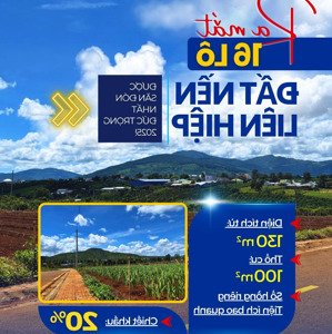 mở bán 16 lô đất đẹp liên hiệp đức trọng