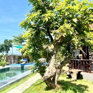 Biệt Thự Vườn Siêu đẹp Ngay Nút Giao Cao Tốc - Diên Thọ - Diên Khánh