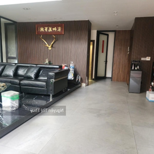Biệt Thự Phố Hồng Tiến Lb Dt137m 7t Mt11m Giá 26,8tỷ Ngõ ô Tô Thông Thang Máy Nội Thất Sang Trọng
