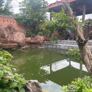 Bán Biệt Thự Mini Nghỉ Dưỡng - Không Gian Xanh Mát, Phong Cách Truyền Thống