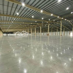 Cho Thuê Nhà Xưởng & Văn Phòng Cao Cấp Tại Tiền Giang - Tổng Diện Tích Hơn 11.000m2