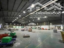 Cho Thuê Kho Xưởng Trong KCN Phú Mỹ 1, Phú Mỹ, DT 9000m2; 10.000m2; 15.000m2; 20.000m2