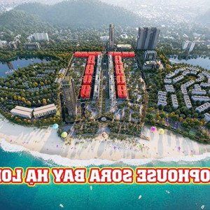 Cơn Sốt Mới Tại Hạ Long: Sora Bay, Tiềm Năng Tăng Giá Vượt Trội