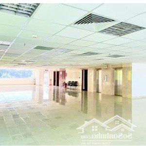 văn phòng mặt tiền bạch đằng dt 160m2, tiện ích đầy đủ