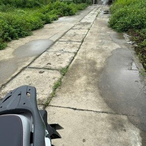chính chủ.gửi bán đất tổ 10 quang minh