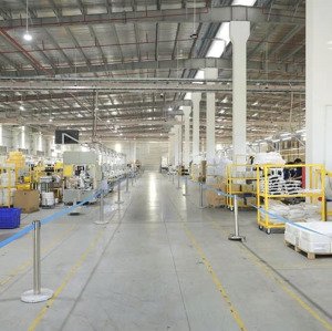 Cho Thuê Kho Xưởng Mới 16.000m2, Pháp Lý Chuẩn, Giá Tốt Tại Kcn đức Hòa, Long An