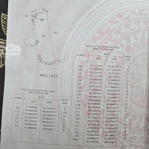 Cơ Hội đầu Tư Lô đất đẹp Xuất Sắc Tại Xã Bình Khánh
 