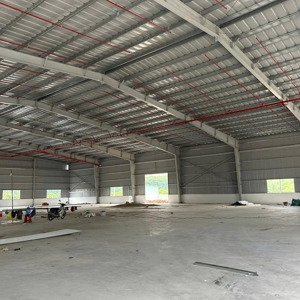kho cho thuê gấp tại tân định, bắc tân uyên, bình dương, 250 triệu, 4200 m2