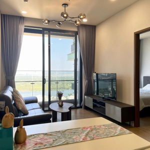 cực hiếm! 1 phòng ngủ_49m2, view sông cực đẹp. nội thất cao cấp. giá: 25triệu. lumiere riverside.