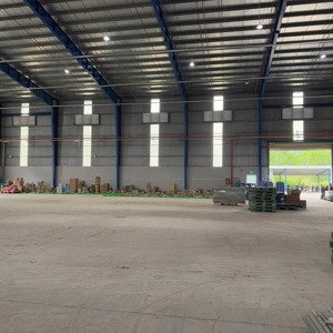 Cho Thuê Kho, Nhà Xưởng Tại Xã Tóc Tiên, Phú Mỹ, Bà Rịa Vũng Tàu, 55 Nghìn / M2, 3000 M2