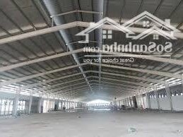 Cho Thuê 4.600m2 Kho Xưởng Tại Cụm CN TP Mới Bình Dương