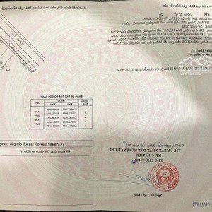 chủ ngộp nên bán gấp miếng đất 5x21m giá 1 tỷ 790 mt đường trần quang đạo, xã tân thông hội, củ chi