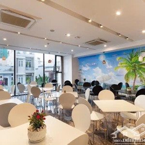Khách Sạn 53 Tỉ Có 15 Tầng & 45 Phòng Kinh Doanh ổn định 120tr/ Thg Cách Biển Chỉ 500m