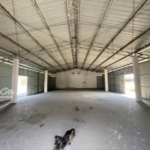 Kho Trống 5000m2 Kcn Cát Lái Vuông Vức đẹp, Phù Hợp Ngành Logistic