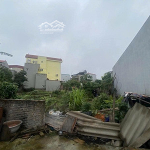 bán đất đa tốn - gia lâm, dt: 116m2, mt 8m, ô tô 7 chỗ vào tận đất, giá đầu tư nhỉnh 4 tỷ