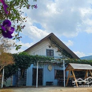Bán Dự án Sinh Thái Mắc Ca đa Tầng 114ha đà Lạt Sinh Lời Lâu Dài