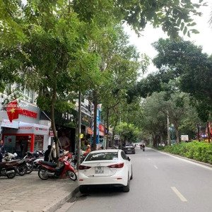 Bán 5 Căn Liền Kề, 5 Căn Biệt Thự Xa La, Lô Góc, Lô Thường, 75 - 80m2 đến 225.5 M2, Giá Tốt Nhất