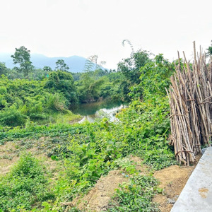 bán lô đất vườn gần 1400m2 sổ đỏ view suối xã hoà ninh gần ubnd xã