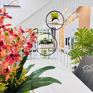 về đây chốn an yên đủ đầy, full nội thất, 150m² hạnh phúc, hẻm 1 sẹc, đẹp như mơ, an cư lý tưởng