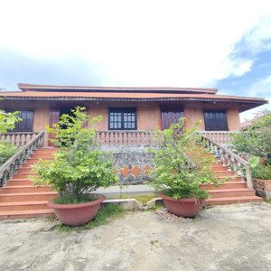 1.509m2 - Biệt Phủ Hiếm Có - 1 Km Ra Cao Tốc N2 đức Hoà Long An