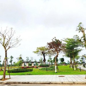 đất Phú Mỹ - Vị Trí đẹp Giá đầu Tư - đẳng Cấp Nằm Ngay Trung Tâm Thành Phố Quảng Ngãi
