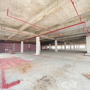 Cho Thuê Sàn Thương Mại, Văn Phòng Dt Lớn Trung Tâm Quận 10 - A Giang, 