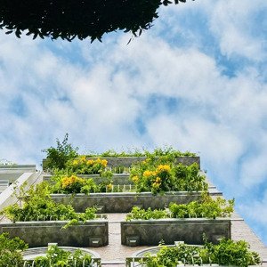 cho thuê mặt bằng kinh doanh hot - 100m2 mới xây phố đội cấn, ba đình 