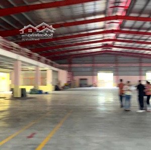Xưởng Bán Mặt Tiền Góc 5000m2 Trong Kcn Lê Minh Xuân 3, Bình Chánh - Hồ Chí Minh