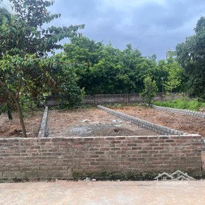 bán đất 330m2 tại đường 21a, xã thuỷ xuân tiên, chương mỹ, hà nội, giá 24 triệu / m2 siêu hot