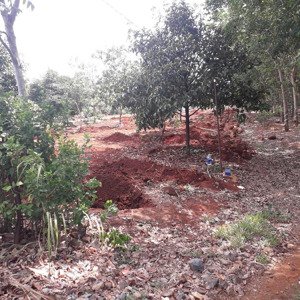 bán trang trại view đẹp tại sông xoài, phú mỹ, bà rịa vũng tàu, 64,032 tỷ, 16008 m2