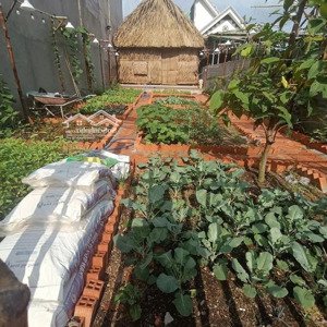 bán đất tại đường đông minh, dĩ an, bình dương, ngang 5.8m giáp bigc, lh 