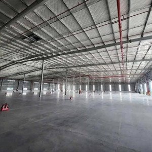 Vsip2 Tpm, Bình Dương. Kho 5.200m2 Cho Thuê Dock Công, Chuẩn Pháp Lý