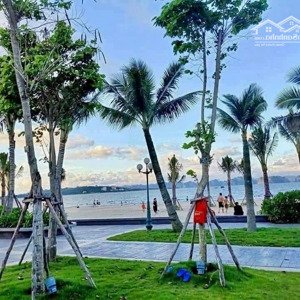2 Ngủ Có Sẵn Dòng Tiền 16tr/tháng Full Nội Thất Sẵn Sổ đỏ Cách Biển 1 Bước Chân
