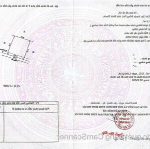 ĐẤT SÀO TÂN LẬP - ĐỒNG PHÚ