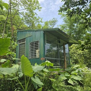 quá rẻ chỉ 2,x tỷ có ngay 5500 m2 đất nghỉ dưỡng đỉnh đồi, phía trên trường maya, tiến xuân