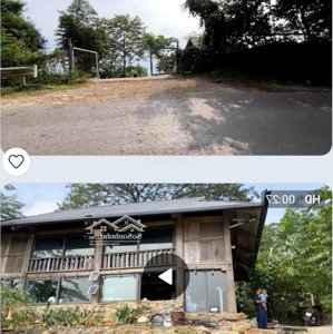 bán trang trại, chiềng khoa, vân hồ, sơn la, 3,65 tỷ, 10000m2