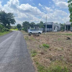 Cần sang gấp 3.000m2 đất ngay chợ dân đông, gần đường tỉnh lớn