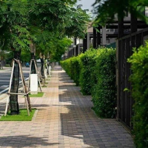 Bán Nhà Phố 1 Trệt 2 Lầu Dự án Waterpoint Nam Long, Bến Lức - Giá Bán 4,5tỷ