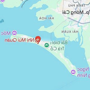 Bán đất Tại Tràng Vĩ, Trà Cổ, Móng Cái, 8,23 Tỷ, 196 M2, Giá Cực Chất