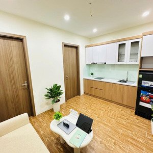 cho thuê cc mini 1pn+ 2pn, giá ưu đãi từ 7,3 triệu, 40m2 tại trúc khê, đống đa, hà nội