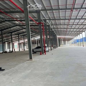 cho thuê kho 8.000m2 bình tân. hệ thống pccc tự động.