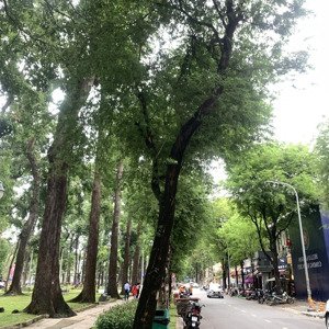 Biệt Thự Pháp Cổ 2 Tầng, Lô Góc Mt 14m Hàn Thuyên, View Công Viên, 315m2, 1 Sổ, Cực Giá Trị, 450 T
