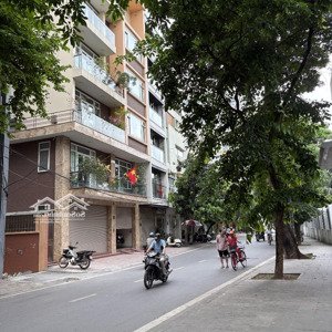 bán gấp nhà riêng 76m2, 5pn, 4wc ở trần quang diệu, đống đa, hà nội, 51 tỷ vnd