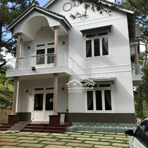 Cho Thuê Villa Sân Vườn 5 Phòng Phường 8 đà Lạt 25tr/tháng