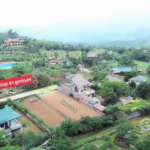 Siêu Phẩm 451m Nghĩ Dưỡng Phú Mãn Quốc Oai