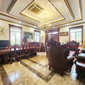 Tổng Hợp Biệt Thự Cho Thuê F&b, Trường Học, Vp,... Tại An Phú An Khánh Quận 2