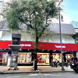 Bán Một Di Sản Góc 2 Mặt Tiền 119 Lý Tự Trọng, P. Bến Thành, Quận 1 |tường Villa 